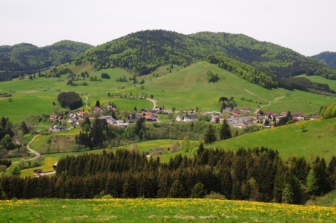 Can You Recognize These Traditional Art Forms from Germany? π©πͺ