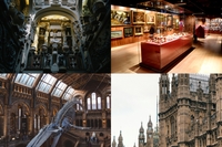 Which Hidden Gem Museum in London Should You Visit? 🔍🎨